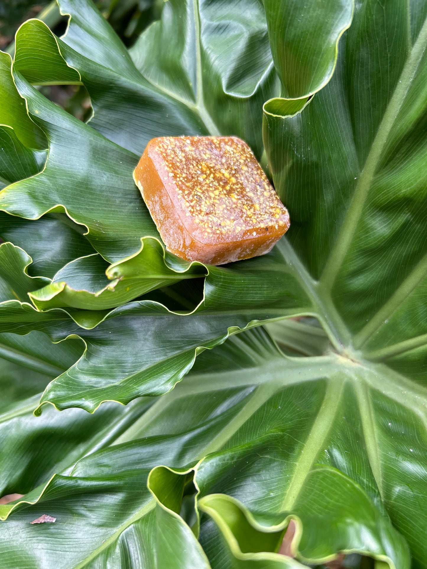Sample Melanin Glow Bar