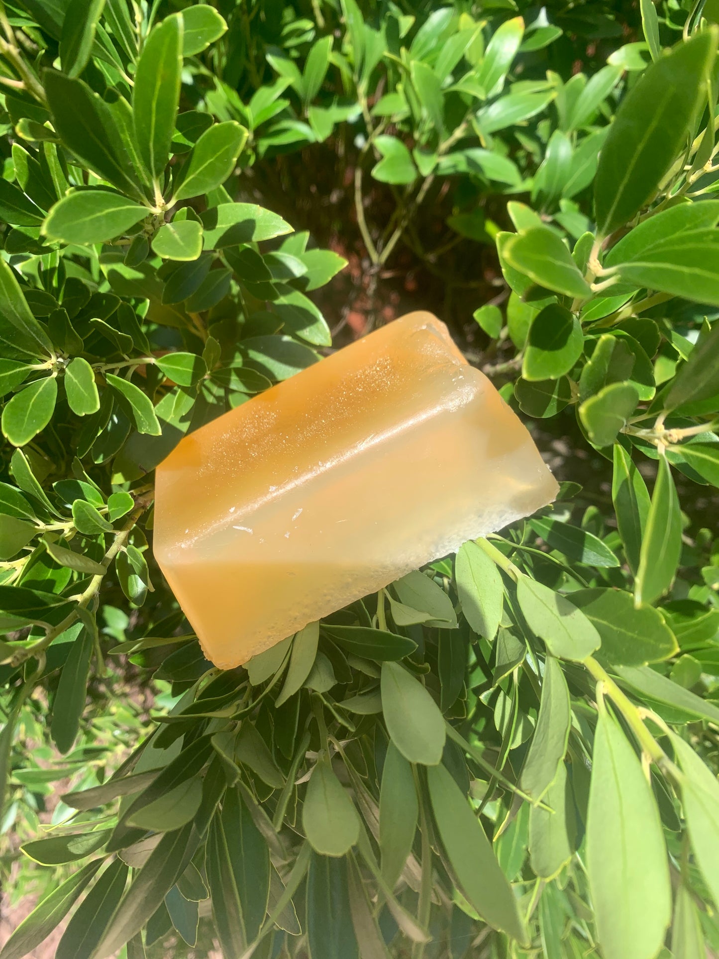 Honey Brown Sugar Bar
