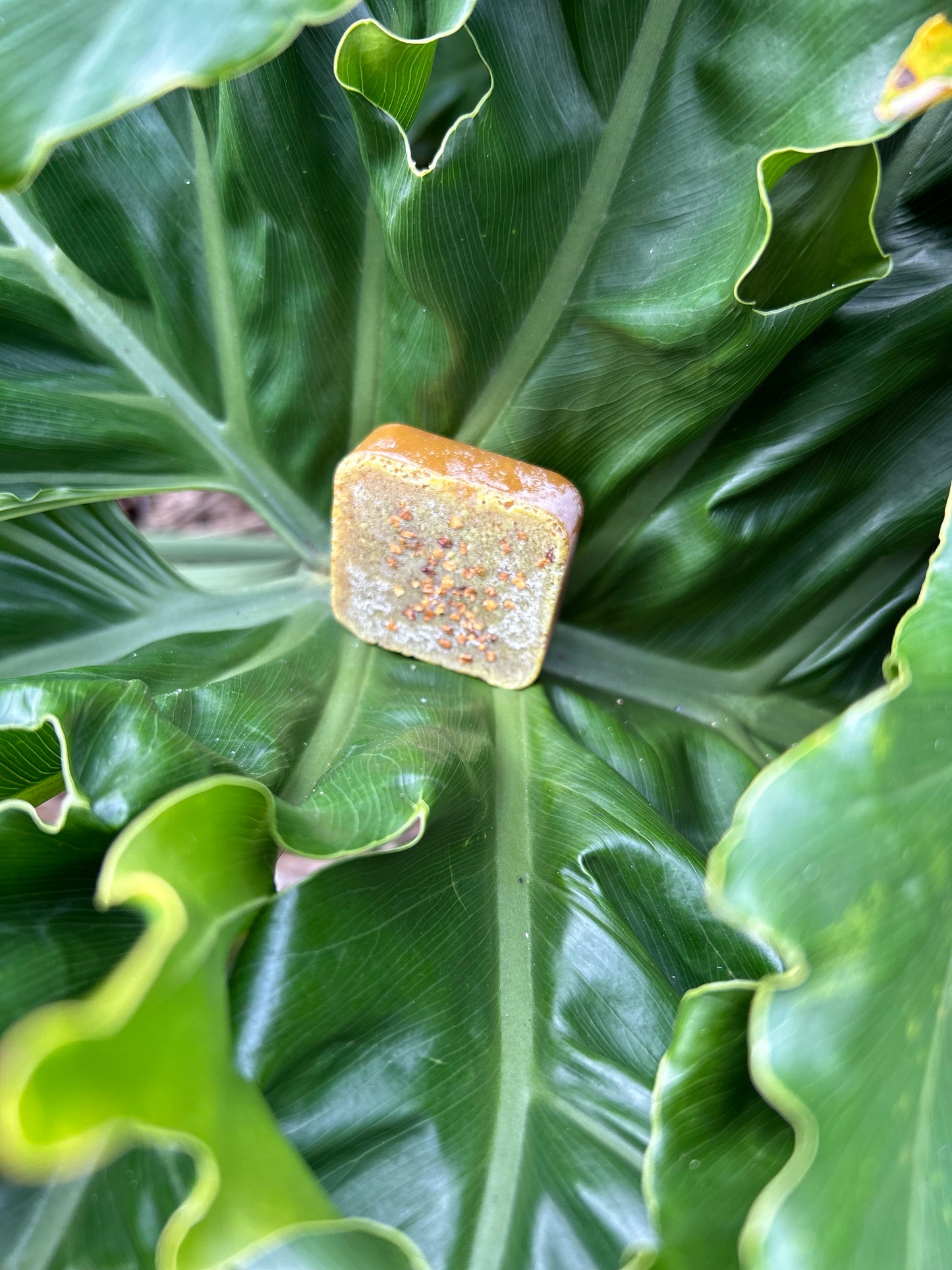 Sample Melanin Glow Bar