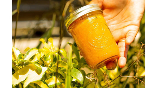 Sample Melanin Glow Scrub